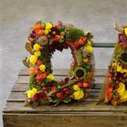 Autumnal Open Letter Tributes