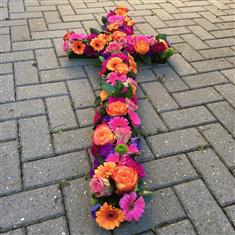 Celebration of Colour