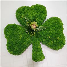 Irish Heart Shamrock Tribute